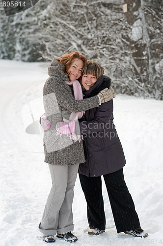 Image of Friendship in winter