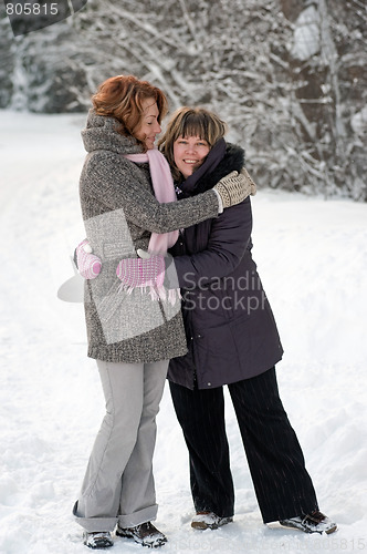 Image of Friendship in winter