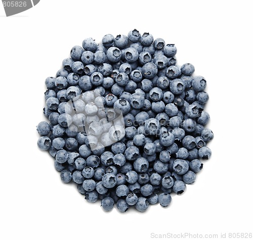 Image of Fresh blueberries isolated on white