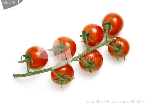 Image of Tomatoes on white
