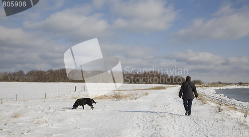 Image of Winter walking