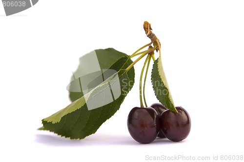 Image of Cherries