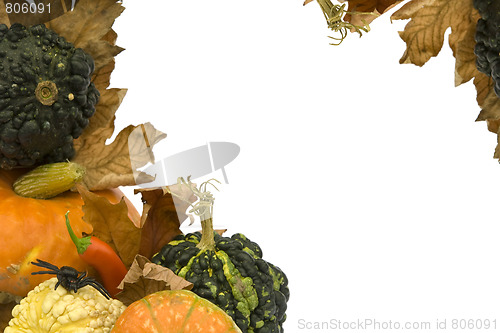 Image of Halloween series on white