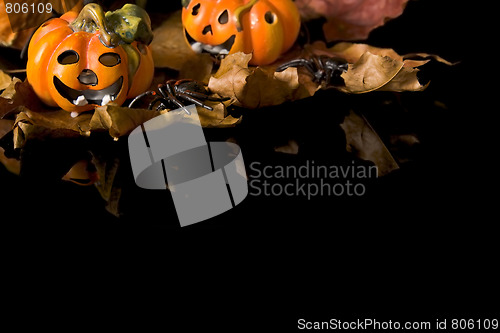 Image of Halloween series on black