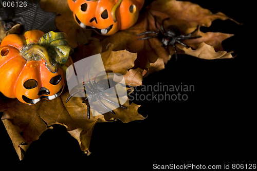 Image of Halloween series on black