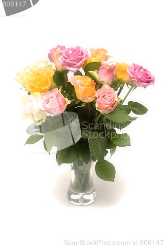 Image of Pastel roses