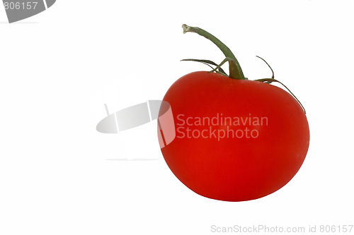 Image of Ripe tomato on white background