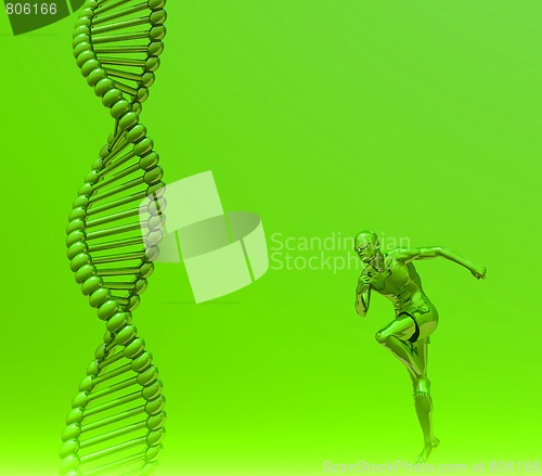 Image of human dna