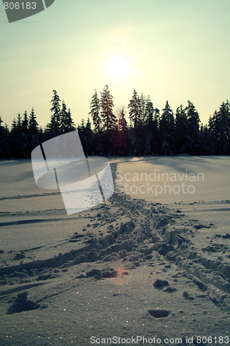 Image of cross-country ski trail