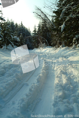 Image of cross-country ski trail