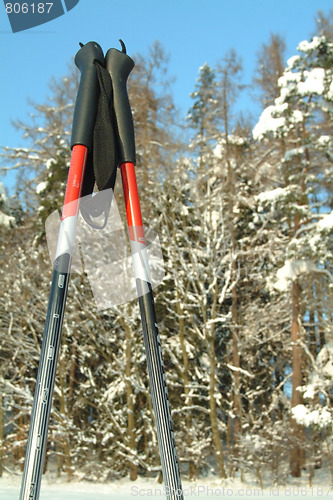 Image of Ski poles