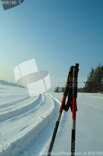 Image of Ski poles