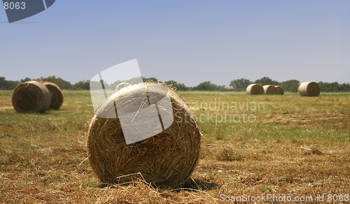 Image of Hay stacks ready to be picked up