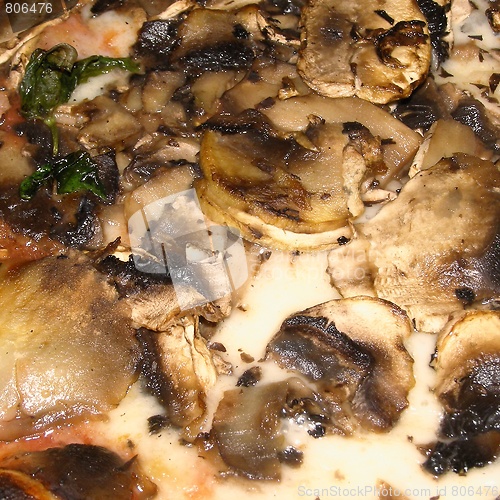 Image of Pizza