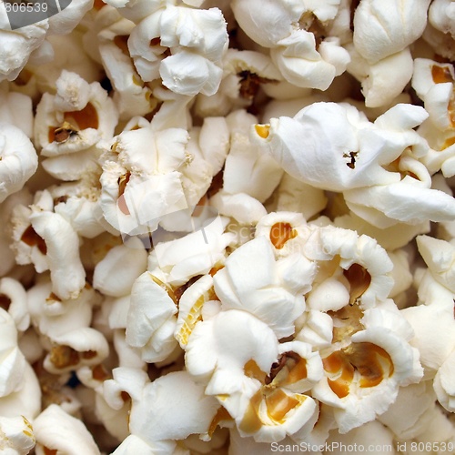 Image of Pop Corn