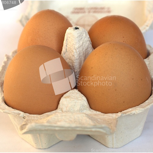 Image of Eggs