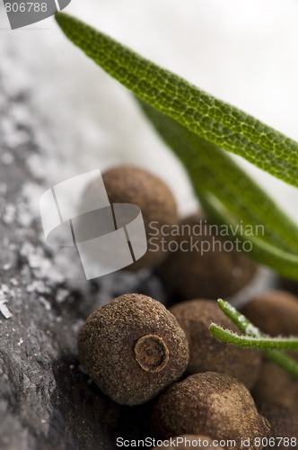 Image of allspice with fresh rosemary