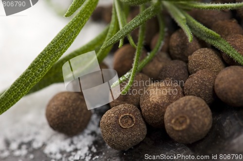 Image of allspice with fresh rosemary