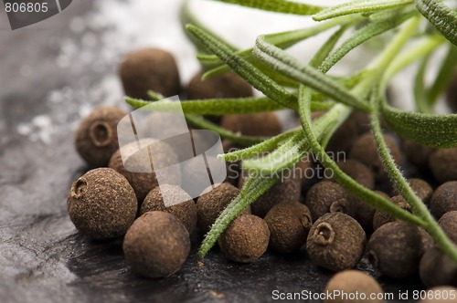 Image of allspice with fresh rosemary