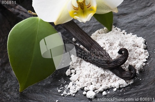 Image of vanilla beans with aromatic sugar and flower