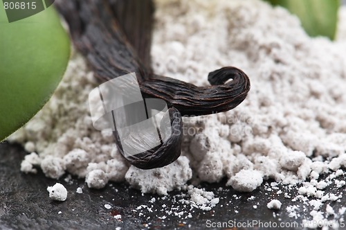 Image of vanilla beans with aromatic sugar and flower