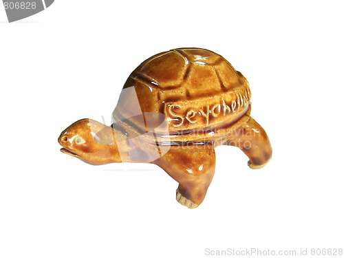 Image of Turtle - a souvenir from the Seychelles