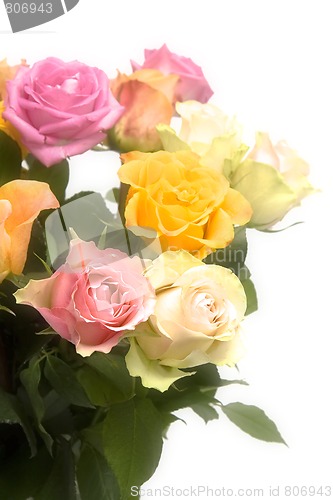 Image of Pastel roses