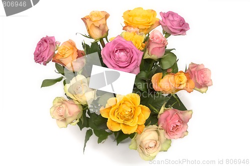 Image of Pastel roses