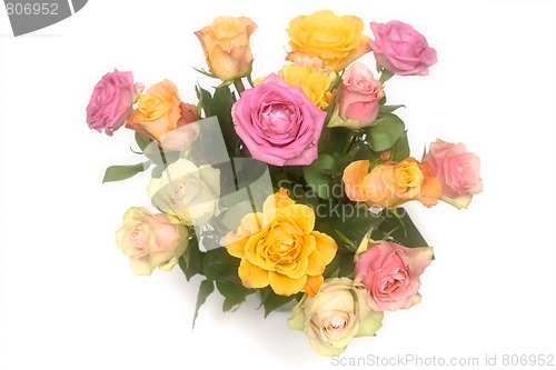 Image of Pastel roses