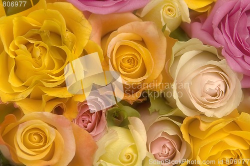 Image of Pink and yellow roses