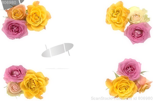 Image of Pink and yellow roses