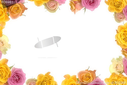 Image of Pink and yellow roses