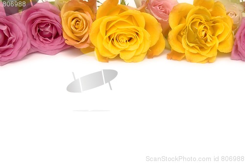 Image of Pink and yellow roses