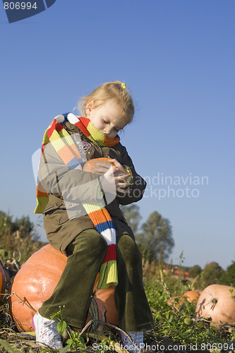 Image of Children on pumpkin field