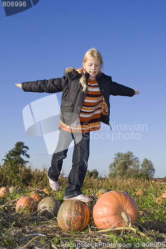 Image of Children on pumpkin field