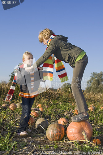 Image of Children on pumpkin field