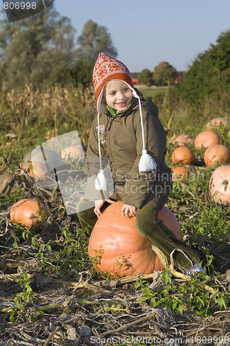 Image of Children on pumpkin field