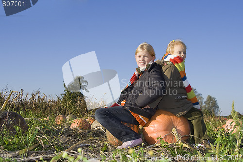 Image of Children on pumpkin field