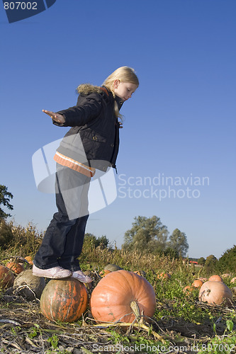 Image of Children on pumpkin field