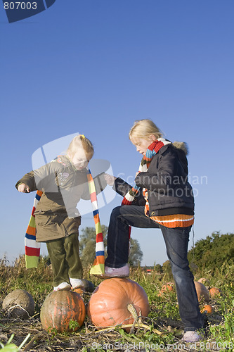 Image of Children on pumpkin field