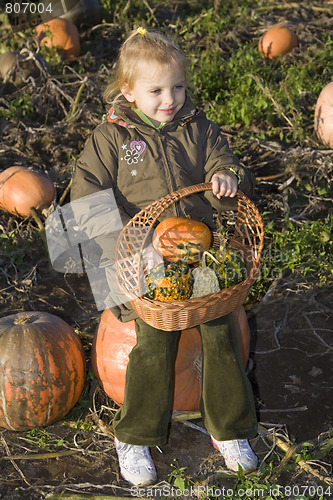 Image of Children on pumpkin field