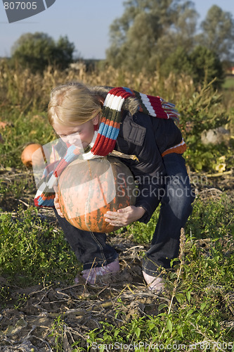 Image of Children on pumpkin field
