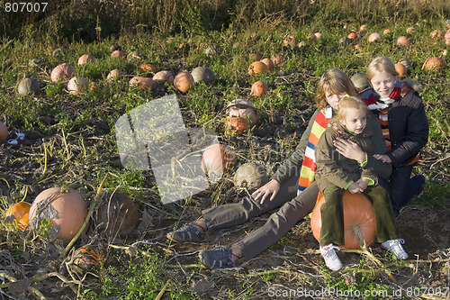 Image of Children on pumpkin field
