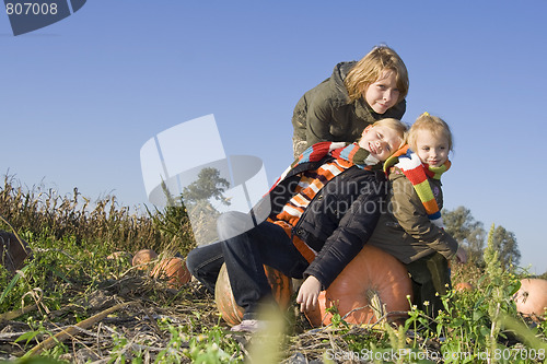 Image of Children on pumpkin field