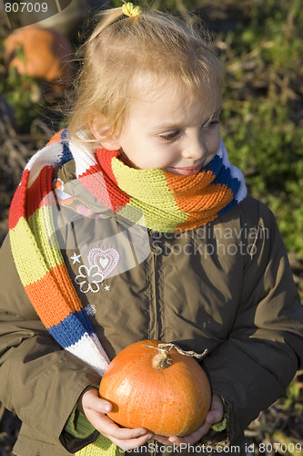 Image of Children on pumpkin field
