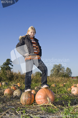 Image of Children on pumpkin field
