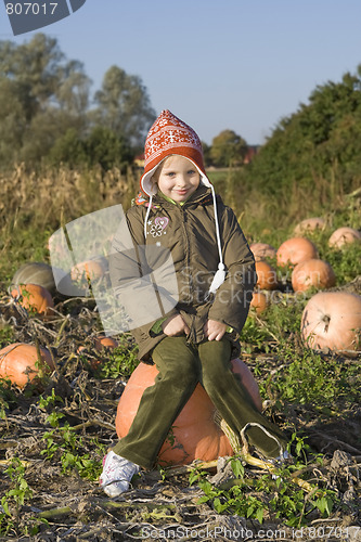 Image of Children on pumpkin field