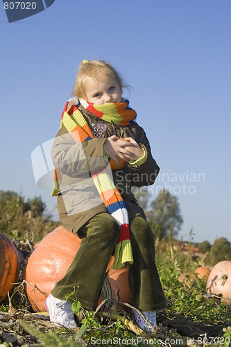 Image of Children on pumpkin field