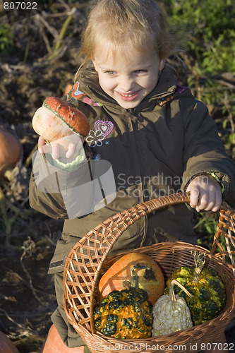 Image of Children on pumpkin field