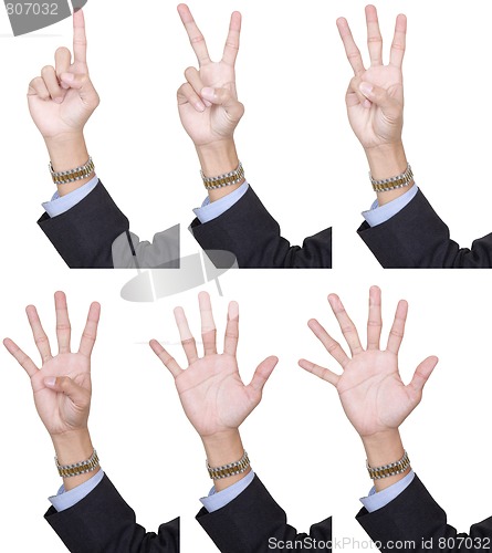 Image of Collection counting fingers 1 to 6